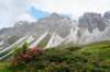 dsc096142_small.jpg