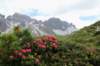 dsc096172_small.jpg