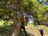 img20200523wa0006_small.jpg