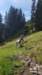 img20200523wa0016_small.jpg