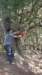img20200523wa0017_small.jpg
