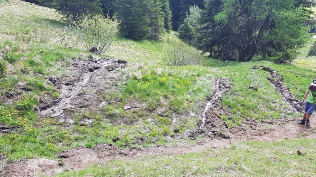 img20200523wa0018.jpg