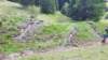 img20200523wa0018_small.jpg