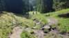 img20200523wa0019_small.jpg
