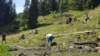 img20200523wa0020_small.jpg
