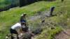 img20200523wa0021_small.jpg