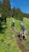 img20200523wa0023_small.jpg