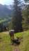 img20200523wa0024_small.jpg