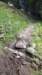 img20200523wa0025_small.jpg