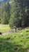img20200523wa0027_small.jpg