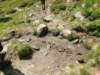 img20200524wa0003_small.jpg