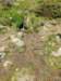 img20200524wa0005_small.jpg