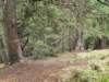 img20200524wa0006_small.jpg