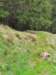 img20200524wa0007_small.jpg