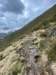 img20230529wa0005_small.jpg