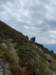 img20230529wa0009_small.jpg