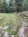 img20230529wa0010_small.jpg