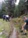 img20230529wa0016_small.jpg