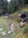 img20230529wa0020_small.jpg