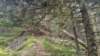 img20230529wa0033_small.jpg