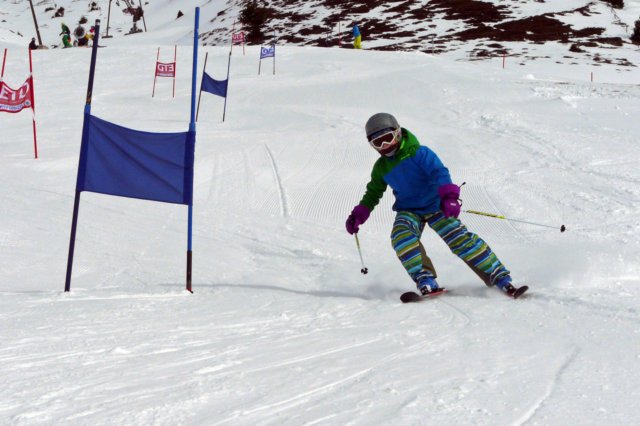 p1200978_bearbeitet1.jpg