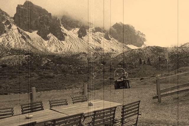 Photograph