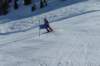 p1150206_small.jpg