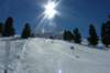 p1150294_small.jpg