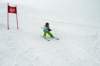 dsc_5685_small.jpg