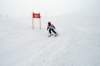 dsc_5686_small.jpg