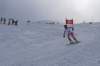 dsc_5722_small.jpg