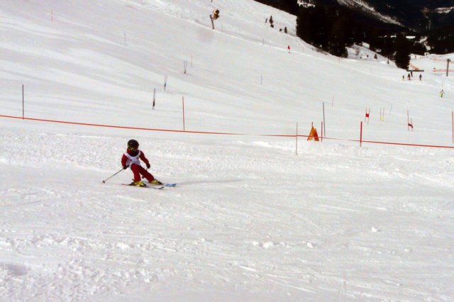 p1230914.jpg