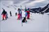 dsc07454_small.jpg