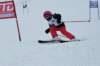 dsc07638_small.jpg