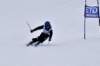 dsc07985_small.jpg