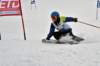 dsc08050_bearbeitet1_small.jpg
