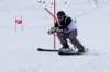 dsc08695_small.jpg