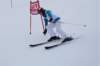 dsc08788_small.jpg