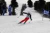 dsc08840_small.jpg