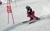 dsc08883_small.jpg