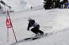 dsc08954_small.jpg
