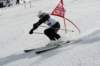dsc08956_small.jpg
