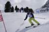 dsc08985_small.jpg