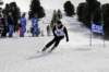 dsc09013_small.jpg