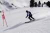 dsc09059_small.jpg