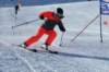 dsc00019_small.jpg