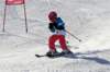 dsc00090_small.jpg