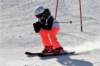 dsc00163_small.jpg