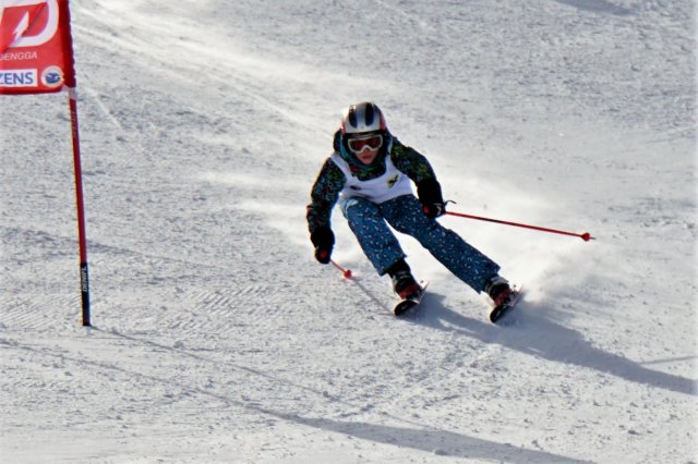 dsc00213.jpg