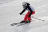 dsc00427_small.jpg